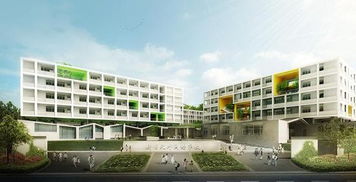义乌新世纪外国语学校 今秋小学初中同步开学