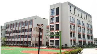 最新 瑞安将迎来一大波新学校,来看看你家会变学区房吗