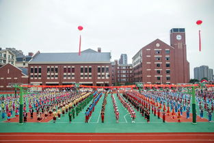 瑞安市新纪元实验学校